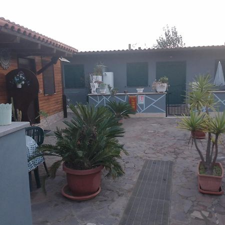 Aquila Di Mare Villa Fiumicino Phòng bức ảnh